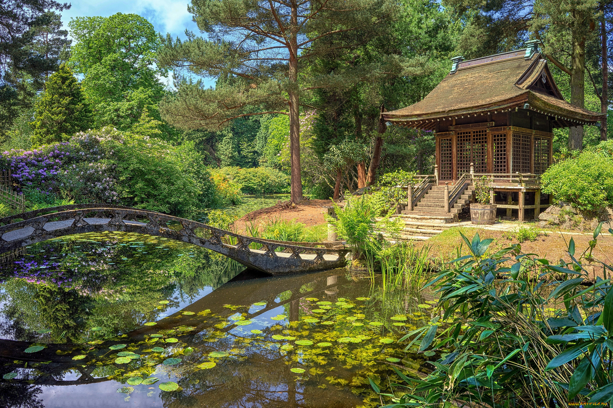 Забронировать столик в японском саду. Японская усадьба с прудиком. Япония сады пруд мост. Японский прудик в саду. Беседка в Японии с прудиком.